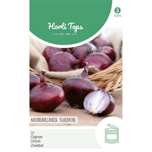 Onion Noordhollandse Bloedrode