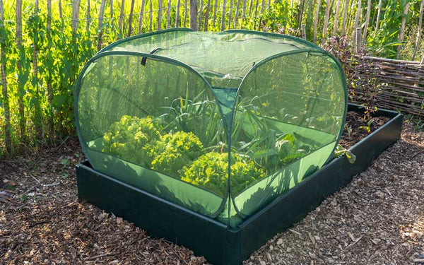 pop-up-pflanzenschutz-zelt Müheloser Pflanzenschutz mit einfach aufklappbarem Netzzelt für Square Foot  Gardening – The Farm Dream