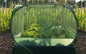 pop-up-pflanzenschutz-zelt Müheloser Pflanzenschutz mit einfach aufklappbarem Netzzelt für Square Foot Gardening – The Farm Dream