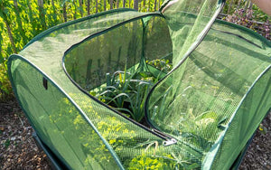 Easy Pop-Up Net plant protection tent - 1,25 x 1,25 x 0,75 m