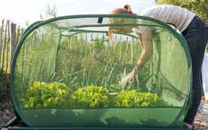 pflanzenschutz zelt pop up Einfaches Pop-Up-Pflanzenschutznetz – ideal für Square Foot Gardening – The Farm Dream