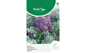 Purple sprouting Broccoli - Purple Summer