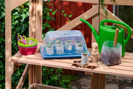 Romberg Seed Starter Experience Box – DIY Paper Pots & Mini Greenhouse Kit. Make your own paper pots from newspaper and grow your own plants. Great for adults and kids.