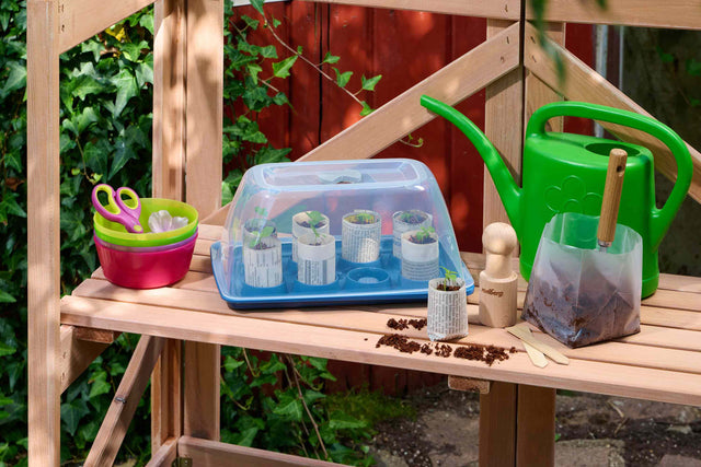 Romberg Seed Starter Experience Box – DIY Paper Pots & Mini Greenhouse Kit. Make your own paper pots from newspaper and grow your own plants. Great for adults and kids.