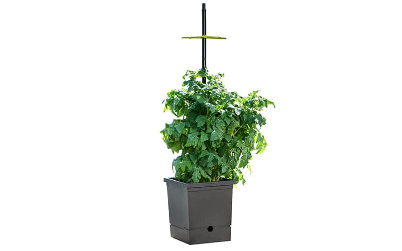 Tomato pot, self-watering - 100% recycled materials