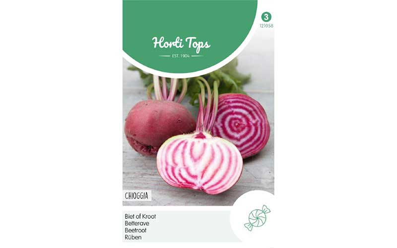 Candy stripe Beetroot Chioggia