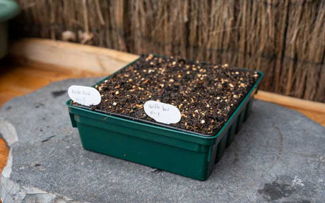 Containerwise® Charles Dowding 30 cell Sturdy Seed Tray (CD30)