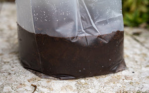 Coco Potting Soil - 10L - Seed starter - Rooting Cuttings