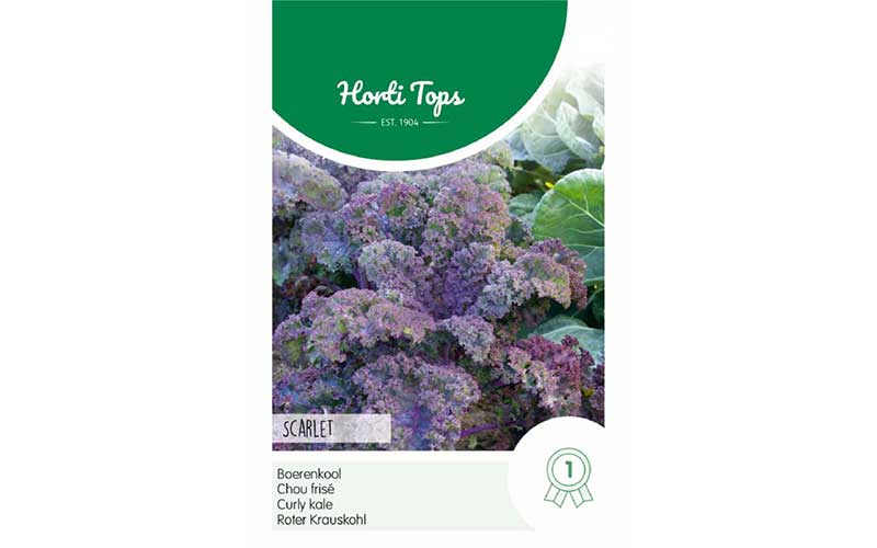 Purple Kale - Scarlet