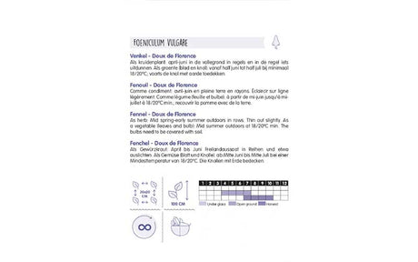 Fenchel - Doux de Florence