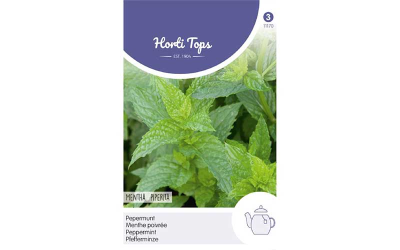 Pepermunt (Mentha x Peperita)