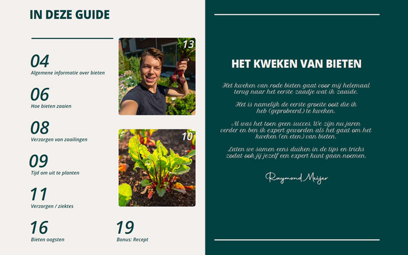 Beetroot Grow Guide PDF - DUTCH