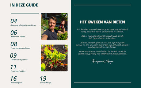 Beetroot Grow Guide PDF - DUTCH