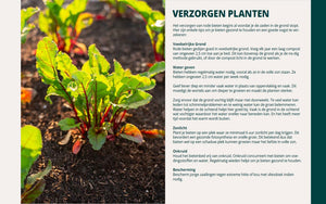 Beetroot Grow Guide PDF - DUTCH