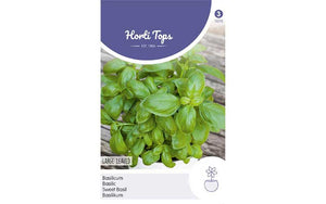 Sweet Basil Large leaved