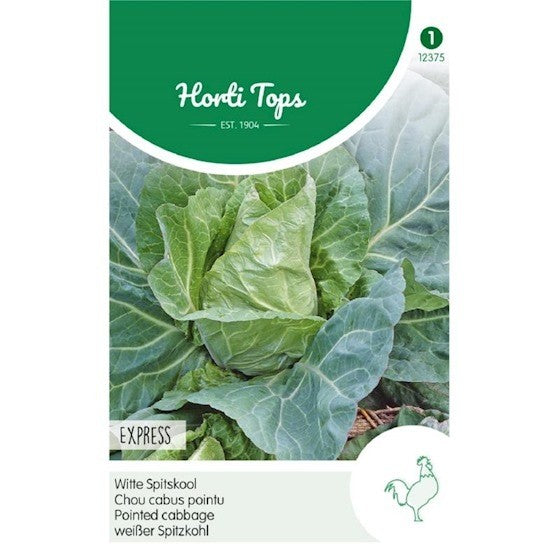 White Pointed Cabbage - Express