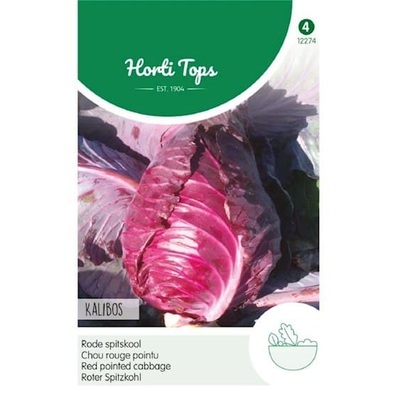 red pointed cabbage