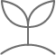 Sprouting plant icon