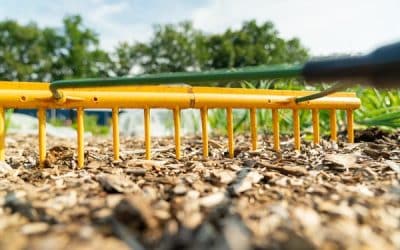 De 7 essentiële instrumenten die je als tuinier nodig hebt