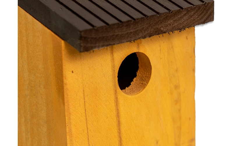 Birdhouse with removable bottom close