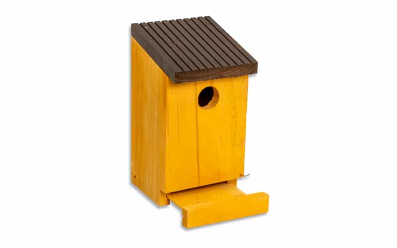 Birdhouse with removable bottom open