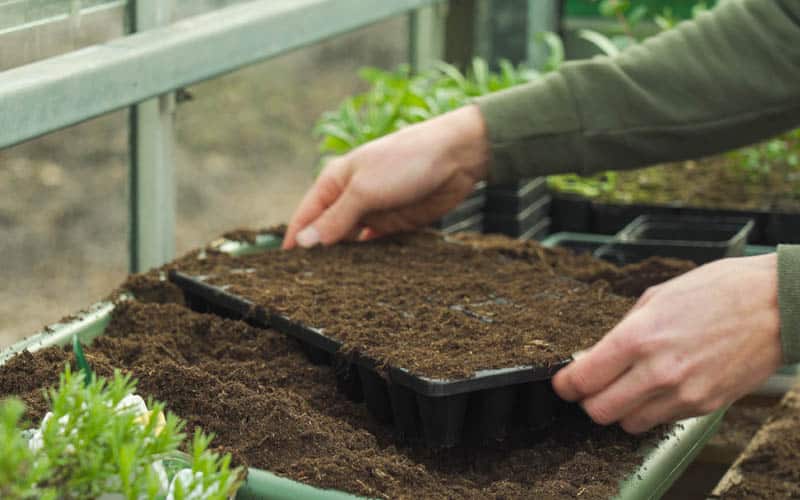 start seeds compost potting soil, potting table, recycled material