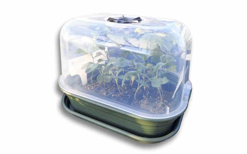 Mini greenhouse set