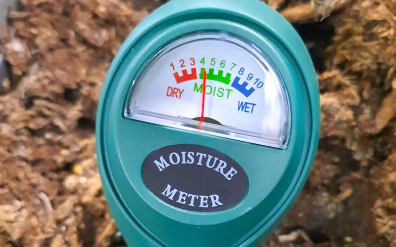 soil moisture meter in the garden compost