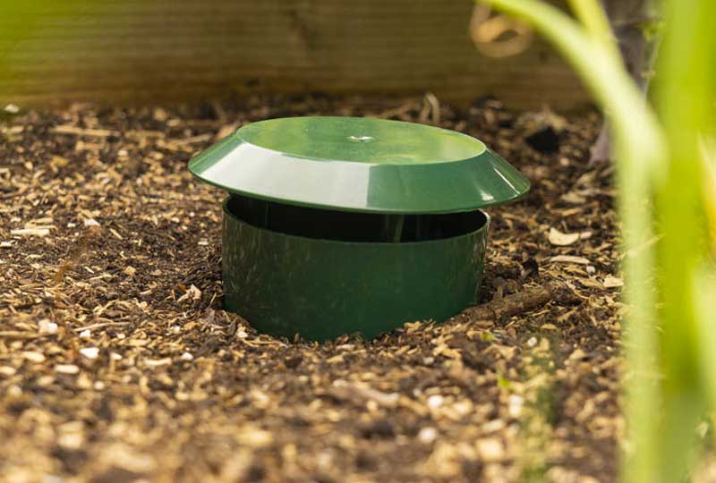 How To Get Rid Of Slugs and Snails In The Garden Slug Trap