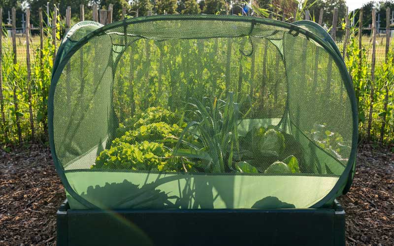 Pop-Up Net plant protection tent