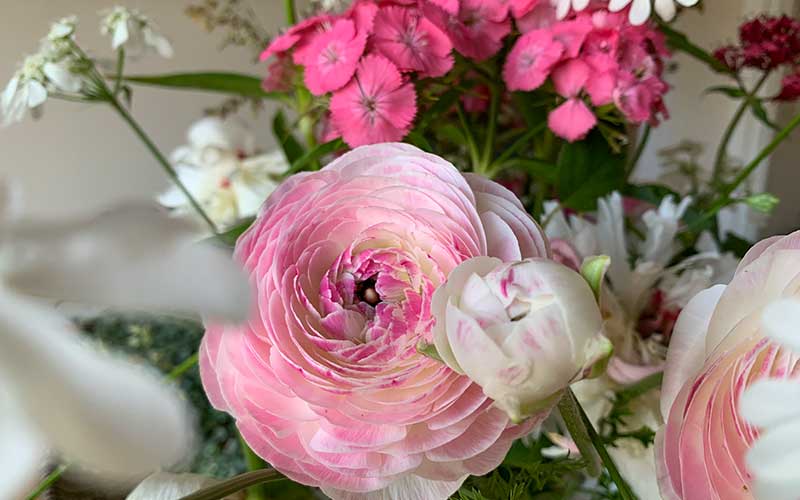 Bouquet ranunculus porcelain