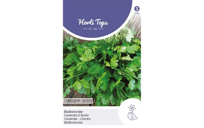 buy coriander seeds to harvest year round fresh herbs