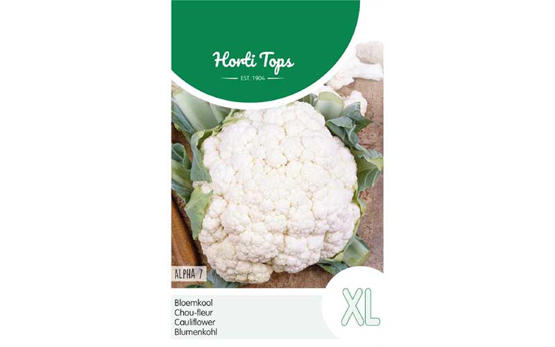 online seeds Cauliflower Alpha 7 that grows XL harvest