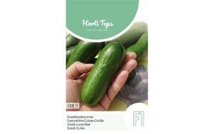 Snack Cucumber Iznik-F1 seeds