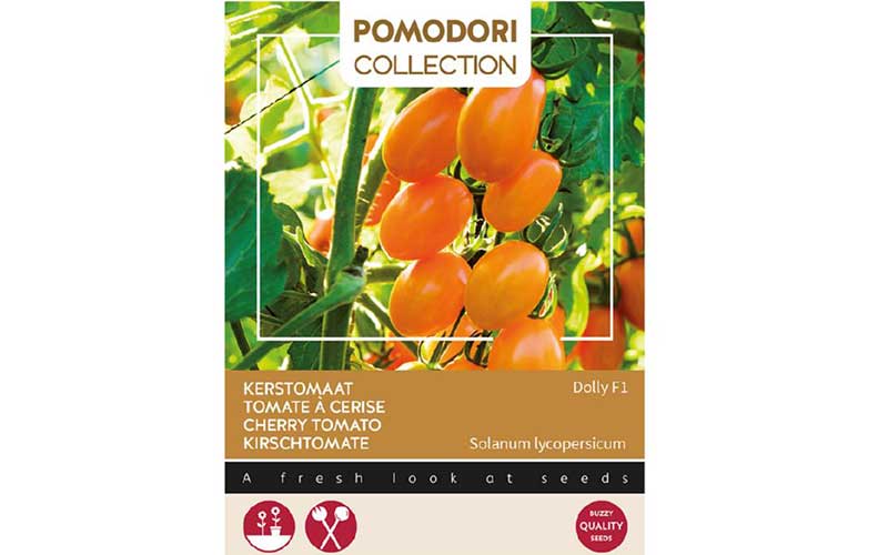 cherry tomato dolly F1 seeds online