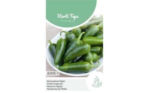 mexican pepper seeds variety Jalapeno M