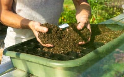 Here’s how to make your own potting soil mix