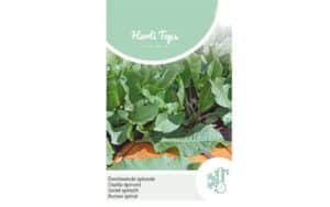 sorrel spinach seeds