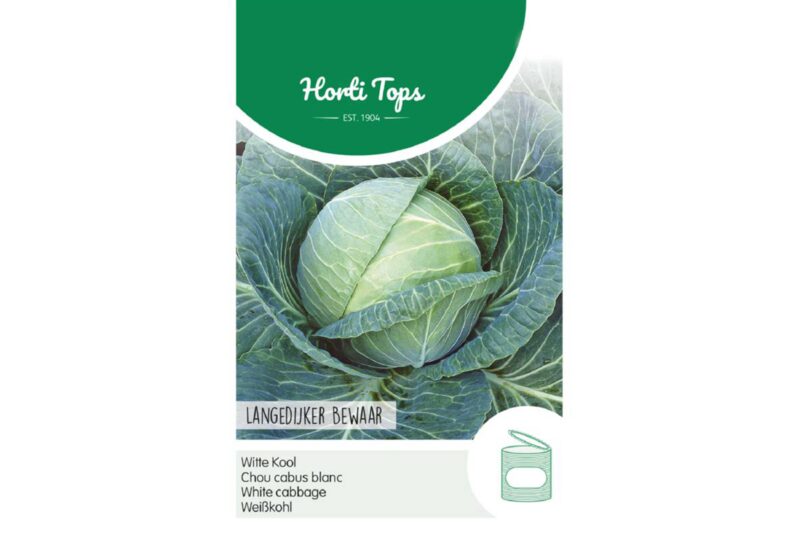 seed of great storing white cabbage variety named langedijk bewaar