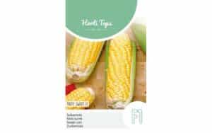 sweet corn tasty F1 seeds