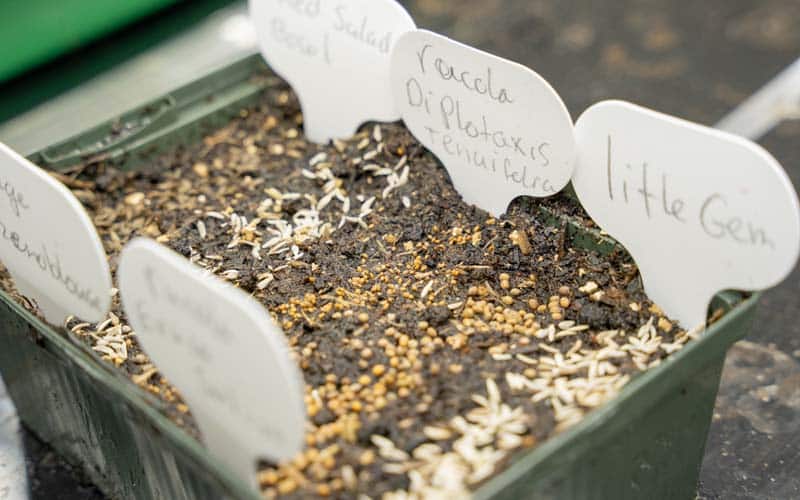 Sowing course - Seeds