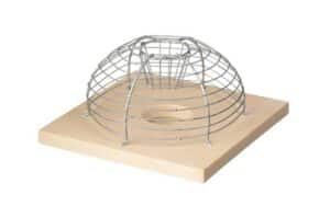 catch mouse alive with this cage trap. animal friendly solution