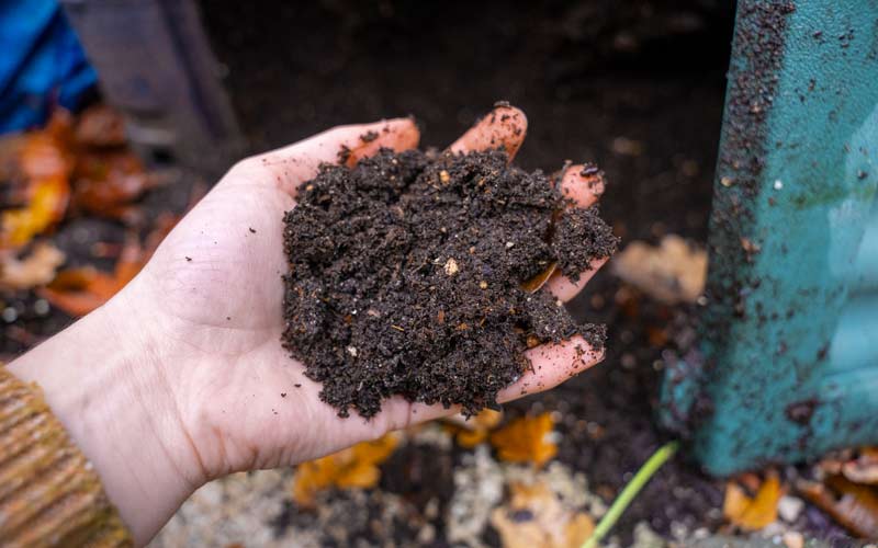 Creating Compost in a Compost Bin with Kitchen Scraps and brown leaves
